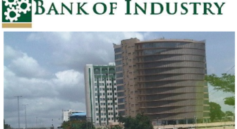 bank-of-industry-boi-343x187